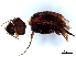  ( - BIOUG15358-D03)  @11 [ ] CreativeCommons - Attribution (2023) CBG Photography Group Centre for Biodiversity Genomics
