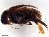  ( - BIOUG15358-D06)  @11 [ ] CreativeCommons - Attribution (2023) CBG Photography Group Centre for Biodiversity Genomics