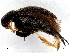  ( - BIOUG26684-B07)  @11 [ ] CreativeCommons - Attribution (2023) CBG Photography Group Centre for Biodiversity Genomics