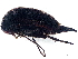  ( - BIOUG26680-E04)  @11 [ ] CreativeCommons - Attribution (2023) CBG Photography Group Centre for Biodiversity Genomics