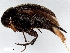  ( - BIOUG26822-H06)  @11 [ ] CreativeCommons - Attribution (2023) CBG Photography Group Centre for Biodiversity Genomics