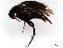  ( - BIOUG27024-B01)  @11 [ ] CreativeCommons - Attribution (2023) CBG Photography Group Centre for Biodiversity Genomics
