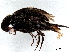  ( - BIOUG27274-H09)  @11 [ ] CreativeCommons - Attribution (2023) CBG Photography Group Centre for Biodiversity Genomics