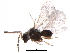  ( - BIOUG27484-G07)  @12 [ ] CreativeCommons - Attribution (2017) CBG Photography Group Centre for Biodiversity Genomics