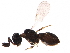  ( - BIOUG27484-H05)  @13 [ ] CreativeCommons - Attribution (2017) CBG Photography Group Centre for Biodiversity Genomics