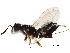  ( - BIOUG27680-F10)  @12 [ ] CreativeCommons - Attribution (2017) CBG Photography Group Centre for Biodiversity Genomics