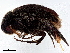  ( - BIOUG37701-A11)  @11 [ ] CreativeCommons - Attribution (2023) CBG Photography Group Centre for Biodiversity Genomics