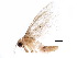  ( - BIOUG09271-D10)  @13 [ ] CreativeCommons - Attribution (2015) CBG Photography Group Centre for Biodiversity Genomics
