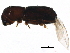  ( - BIOUG14802-E11)  @13 [ ] CreativeCommons - Attribution (2015) CBG Photography Group Centre for Biodiversity Genomics