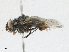  (Xanthophyto sp. LS01 - CBG-A15039-B06)  @11 [ ] CreativeCommons - Attribution Share - Alike (2023) CBG Photography Group Centre for Biodiversity Genomics