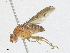  ( - CBG-A21641-A04)  @11 [ ] CreativeCommons - Attribution Share - Alike (2023) CBG Photography Group Centre for Biodiversity Genomics