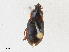  ( - CBG-A18382-D11)  @11 [ ] CreativeCommons - Attribution Share - Alike (2023) CBG Photography Group Centre for Biodiversity Genomics
