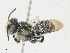  ( - CBG-A21642-G09)  @11 [ ] CreativeCommons - Attribution Share - Alike (2023) CBG Photography Group Centre for Biodiversity Genomics