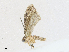  ( - CBG-A21643-C02)  @11 [ ] CreativeCommons - Attribution Share - Alike (2023) CBG Photography Group Centre for Biodiversity Genomics