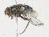  ( - CBG-A21644-G08)  @11 [ ] CreativeCommons - Attribution Share - Alike (2023) CBG Photography Group Centre for Biodiversity Genomics