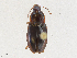  ( - CBG-A21645-E01)  @11 [ ] CreativeCommons - Attribution Share - Alike (2023) CBG Photography Group Centre for Biodiversity Genomics