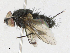  ( - CBG-A21645-F06)  @11 [ ] CreativeCommons - Attribution Share - Alike (2023) CBG Photography Group Centre for Biodiversity Genomics