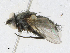  ( - CBG-A21645-F07)  @11 [ ] CreativeCommons - Attribution Share - Alike (2023) CBG Photography Group Centre for Biodiversity Genomics