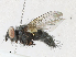  ( - CBG-A21645-F10)  @11 [ ] CreativeCommons - Attribution Share - Alike (2023) CBG Photography Group Centre for Biodiversity Genomics