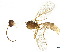  ( - BIOUG38222-F08)  @11 [ ] CreativeCommons - Attribution (2018) CBG Photography Group Centre for Biodiversity Genomics