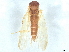  ( - BIOUG38120-H01)  @11 [ ] CreativeCommons - Attribution (2022) CBG Photography Group Centre for Biodiversity Genomics