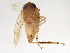  ( - BIOUG38735-A10)  @11 [ ] CreativeCommons - Attribution (2021) CBG Photography Group Centre for Biodiversity Genomics