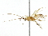  ( - BIOUG91413-F03)  @11 [ ] CreativeCommons - Attribution (2022) CBG Photography Group Centre for Biodiversity Genomics
