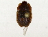  ( - BIOUG91423-G01)  @11 [ ] CreativeCommons - Attribution (2022) CBG Photography Group Centre for Biodiversity Genomics