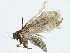  ( - BIOUG93335-C08)  @12 [ ] CreativeCommons - Attribution (2022) CBG Photography Group Centre for Biodiversity Genomics