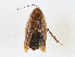  ( - CBG-A07041-B07)  @11 [ ] CreativeCommons - Attribution Share - Alike (2023) CBG Photography Group Centre for Biodiversity Genomics