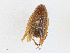  ( - CBG-A07041-C02)  @11 [ ] CreativeCommons - Attribution Share - Alike (2023) CBG Photography Group Centre for Biodiversity Genomics