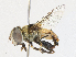  ( - CBG-A07042-C01)  @11 [ ] CreativeCommons - Attribution Share - Alike (2023) CBG Photography Group Centre for Biodiversity Genomics