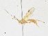  ( - CBG-A13288-D08)  @11 [ ] CreativeCommons - Attribution Share - Alike (2023) CBG Photography Group Centre for Biodiversity Genomics