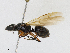  ( - CBG-A13288-H11)  @11 [ ] CreativeCommons - Attribution Share - Alike (2023) CBG Photography Group Centre for Biodiversity Genomics