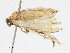  ( - CBG-A14969-C04)  @11 [ ] CreativeCommons - Attribution Share-Alike (2023) CBG Photography Group Centre for Biodiversity Genomics