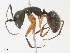  ( - CBG-A14984-F11)  @11 [ ] CreativeCommons - Attribution Share - Alike (2023) CBG Photography Group Centre for Biodiversity Genomics