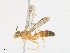  ( - CBG-A14984-G04)  @11 [ ] CreativeCommons - Attribution Share - Alike (2023) CBG Photography Group Centre for Biodiversity Genomics