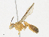  ( - CBG-A16696-G07)  @11 [ ] CreativeCommons - Attribution Share - Alike (2023) CBG Photography Group Centre for Biodiversity Genomics
