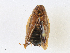  ( - CBG-A16713-B09)  @11 [ ] CreativeCommons - Attribution Share - Alike (2023) CBG Photography Group Centre for Biodiversity Genomics