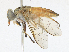 ( - CBG-A16713-G05)  @11 [ ] CreativeCommons - Attribution Share - Alike (2023) CBG Photography Group Centre for Biodiversity Genomics