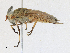  ( - CBG-A14985-C02)  @11 [ ] CreativeCommons - Attribution Share-Alike (2023) CBG Photography Group Centre for Biodiversity Genomics