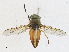  ( - CBG-A16715-A02)  @11 [ ] CreativeCommons - Attribution Share-Alike (2023) CBG Photography Group Centre for Biodiversity Genomics