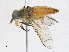  ( - CBG-A16715-A05)  @11 [ ] CreativeCommons - Attribution Share-Alike (2023) CBG Photography Group Centre for Biodiversity Genomics
