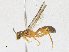  ( - CBG-A16715-D07)  @11 [ ] CreativeCommons - Attribution Share-Alike (2023) CBG Photography Group Centre for Biodiversity Genomics