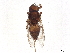  ( - BIOUG18077-H02)  @11 [ ] CreativeCommons - Attribution (2022) CBG Photography Group Centre for Biodiversity Genomics