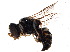  ( - BIOUG18392-G03)  @14 [ ] CreativeCommons - Attribution (2015) CBG Photography Group Centre for Biodiversity Genomics