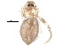  ( - BIOUG18773-E06)  @12 [ ] CreativeCommons - Attribution (2015) CBG Photography Group Centre for Biodiversity Genomics