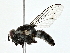  ( - BIOUG80103-C02)  @11 [ ] CreativeCommons - Attribution (2022) CBG Photography Group Centre for Biodiversity Genomics