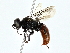  ( - BIOUG80110-D06)  @11 [ ] CreativeCommons - Attribution (2022) CBG Photography Group Centre for Biodiversity Genomics