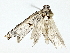  ( - BIOUG80110-H08)  @11 [ ] CreativeCommons - Attribution (2022) CBG Photography Group Centre for Biodiversity Genomics